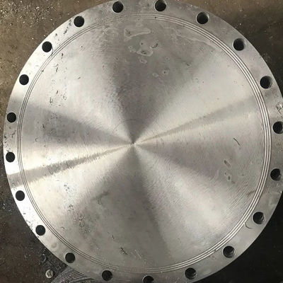 Forged Steel Flange A105 Carbon Steel DN10-DN500 Flat Blind Flange