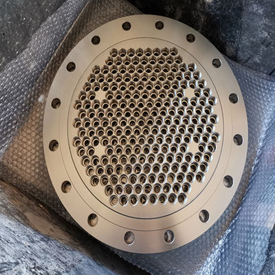 Stainless 1/2inch Forged Steel Flanges Ff Rf M F Mf T G Tg Rtj