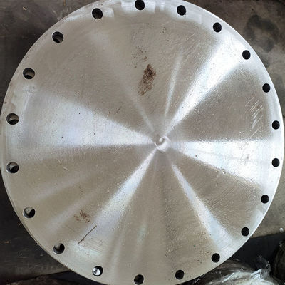 UNS S32750 Blind Plate Flange FF Full Plane DN15-700