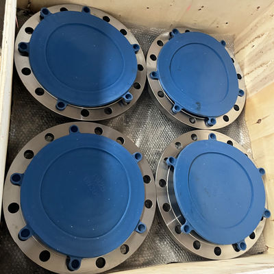 DN20-DN300 Flat Welding Flange Socket Flange Cover